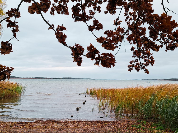 jedyną stałą jest zmiana